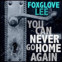 You Can Never Go Home Again: Paranormal LGBTQ Young Adult Fiction